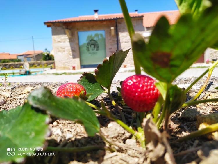 Casa D'Augusta - Agroturismo Miranda del Duero Exterior foto